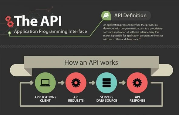 APIs and the Data Privacy Debate