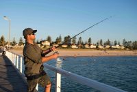 What’s The Best Time Of Year For Offshore Fishing In San Diego?