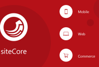 Sitecore Development Best Practices – TechDuffer