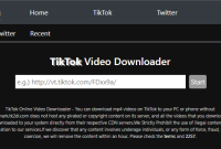 Introducing TK2DL: A Platform to Download TikTok Videos Without Watermark