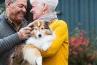 Is a Therapy Dog Right for You? A Guide to Making the Decision