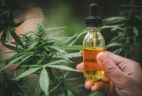 Cbd Capsules Vs. Tinctures: What’s The Difference?