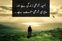 Hope and Resilience: Urdu Quotes on Optimism