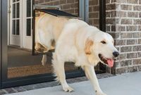 Tips for Installing a Dog Door Into a Screened Porch or Patio