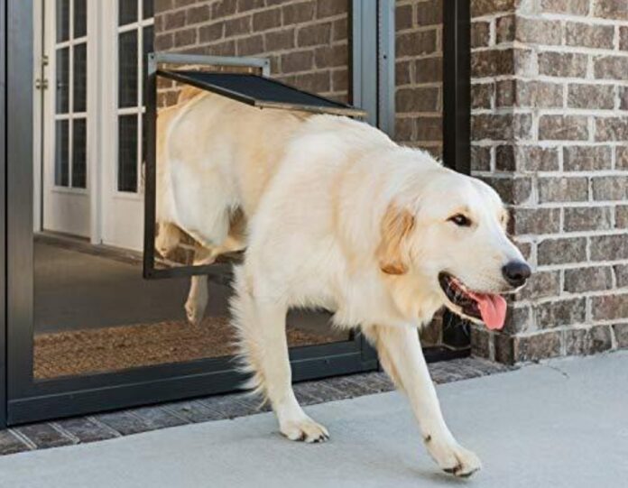 Tips for Installing a Dog Door Into a Screened Porch or Patio