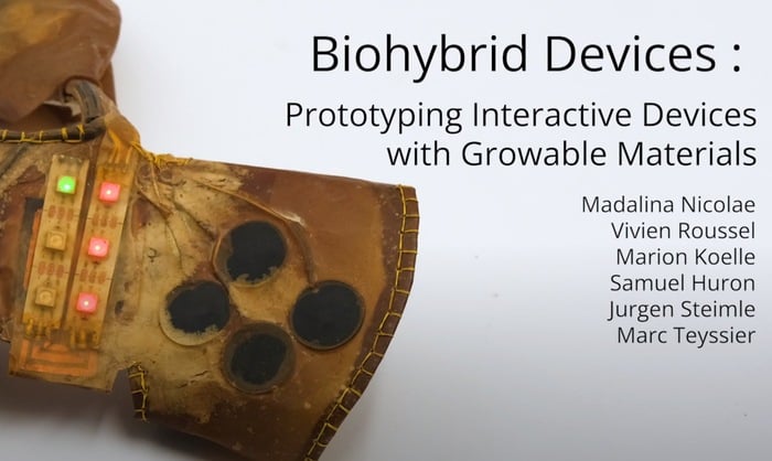 Growing Biohybrid interactive devices – togetherbe