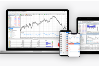 Metatrader: South Africa’s Premier Trading Platform: Transforming Forex Trading 