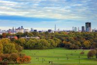 The Impact of Green Spaces on UK Property Values: Embracing Nature