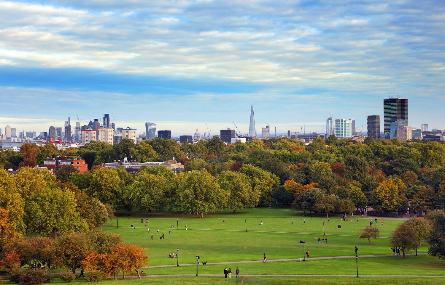 The Impact of Green Spaces on UK Property Values: Embracing Nature