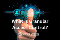 What is Granular Access Control?