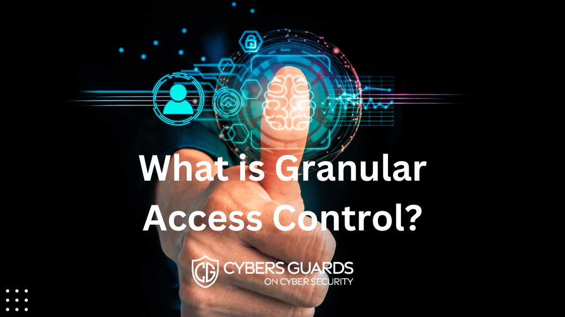 What is Granular Access Control?