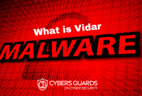 Vidar Malware – What is Vidar Malware?