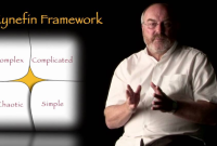 What Is the Cynefin Framework and Why Should You Care?