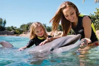 Dolphinaris Tulum: How Can You Enjoy Your Day in Tulum?