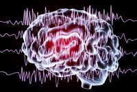 Epilepsy Care with Technological Advancements