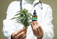 Your Guide to Medical Marijuana Doctors