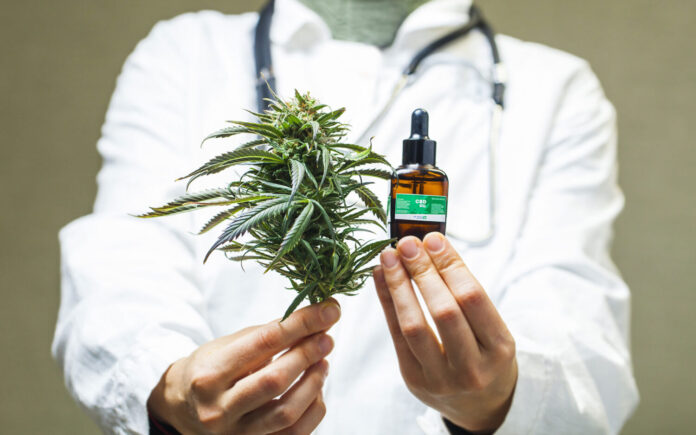 Your Guide to Medical Marijuana Doctors