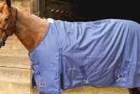 DISCOVER THE MOST POPULAR TYPES OF HORSE BLANKETS AND HOW TO CHOOSE THE RIGHT ONE