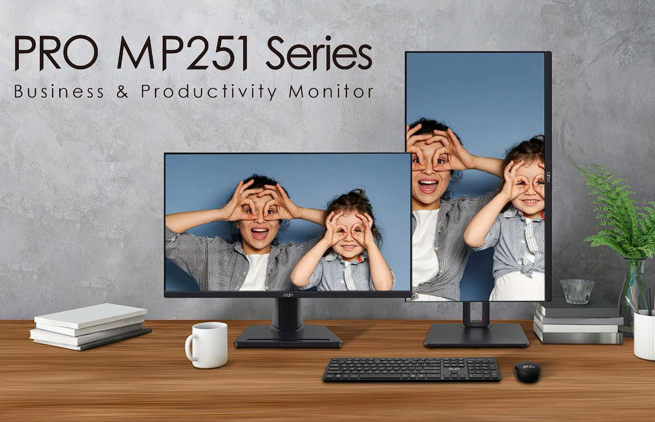 MSI Pro MP251 professional 100Hz business monitor