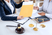 Behind the Lawsuits: Understanding Toxic Tort Litigation