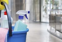 Trusting in Professional Cleaning Services