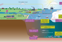 The Environmental Impact of Travel: Exploring