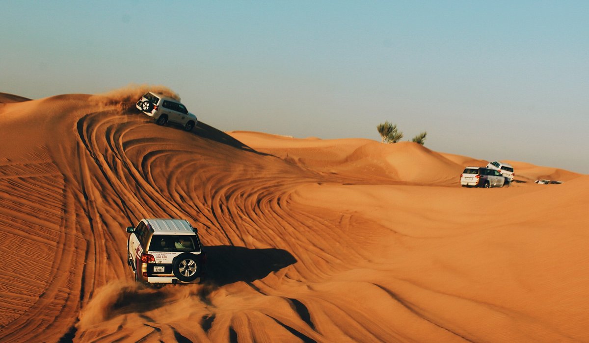 A Comprehensive Guide to Desert Safaris