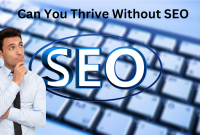 Unlocking Website Success: Can You Thrive Without SEO Rankings