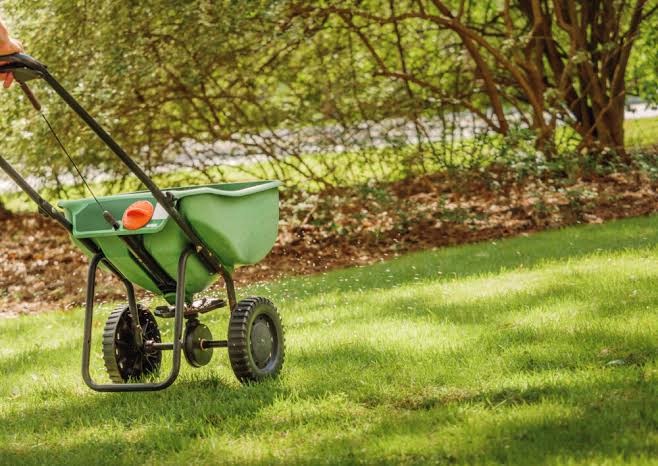 The Importance of Fertilization in Lawn Care