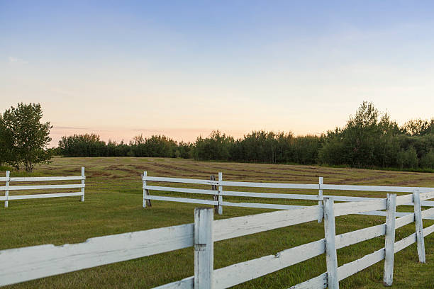 Enhancing Your Rural Property: The Importance of Acreage Fencing