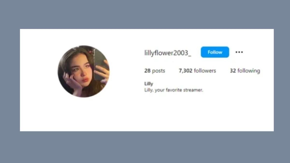 Lillyflower2003: The Ascendancy of a Digital Sensation