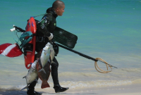 Why Beginners Should Prioritize Purchasing Spearfishing Gear?