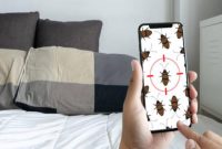 Combating the Infestation: How to Get Rid of Bed Bugs in Paris