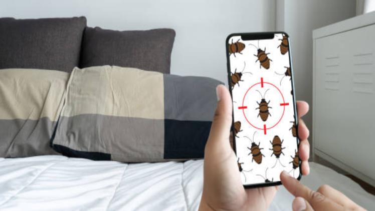 Combating the Infestation: How to Get Rid of Bed Bugs in Paris