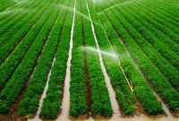 Benefits of an Irrigation System