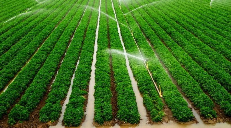 Benefits of an Irrigation System