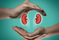 Lifestyle Changes For Better Kidney Health