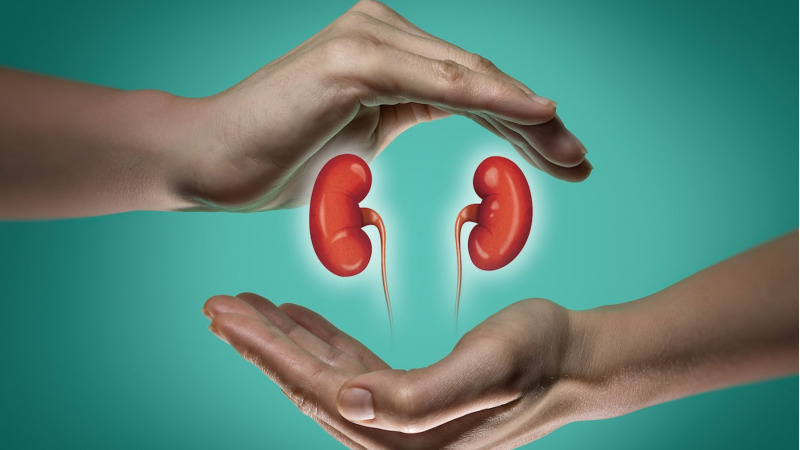 Lifestyle Changes For Better Kidney Health