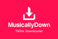 MusicallyDown – TikTok Downloader Without Watermark