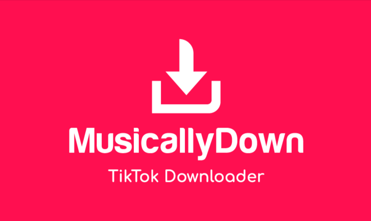 MusicallyDown – TikTok Downloader Without Watermark