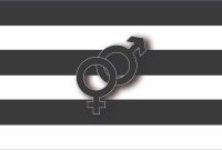 Understanding Heterosexuality & Pride Flag