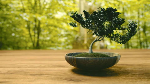 Cultural Significance of Bonsai Trees in Societies