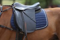 Understanding 5 Amazing Types of English Saddle