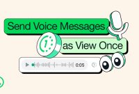 WhatsApp self destructing voice messages rolled outr