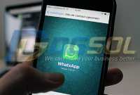 Bulk Whatsapp Service Provider & Blast Marketing