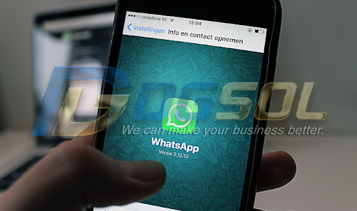 Bulk Whatsapp Service Provider & Blast Marketing