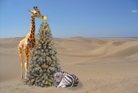 Wild Christmas Wonders: South African Safaris for the Festive Soul