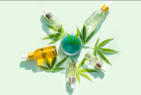 Exploring CBD Therapies: Natural Solutions for Chronic Conditions