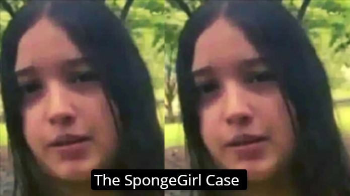 The Spongegirl Case Alles, Was Sie Wissen Müssen