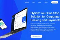 Flyfish Review – Understanding What this Corporate IBAN Account Provider Offers